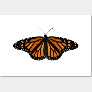 Female Monarch Butterfly Posters and Art